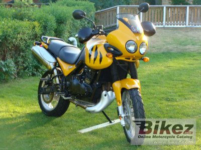 1999 Triumph Tiger 900 photo